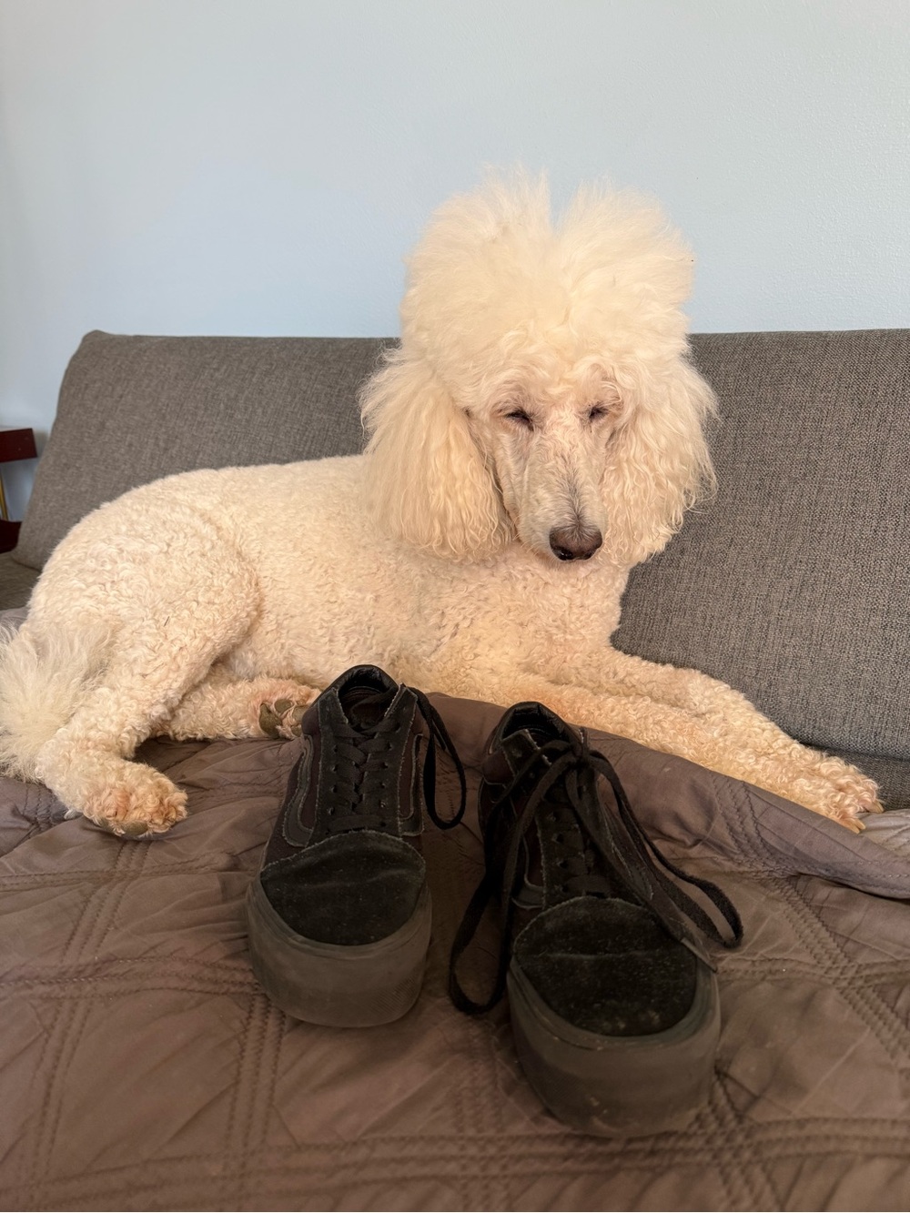 Vans Platform Shoe